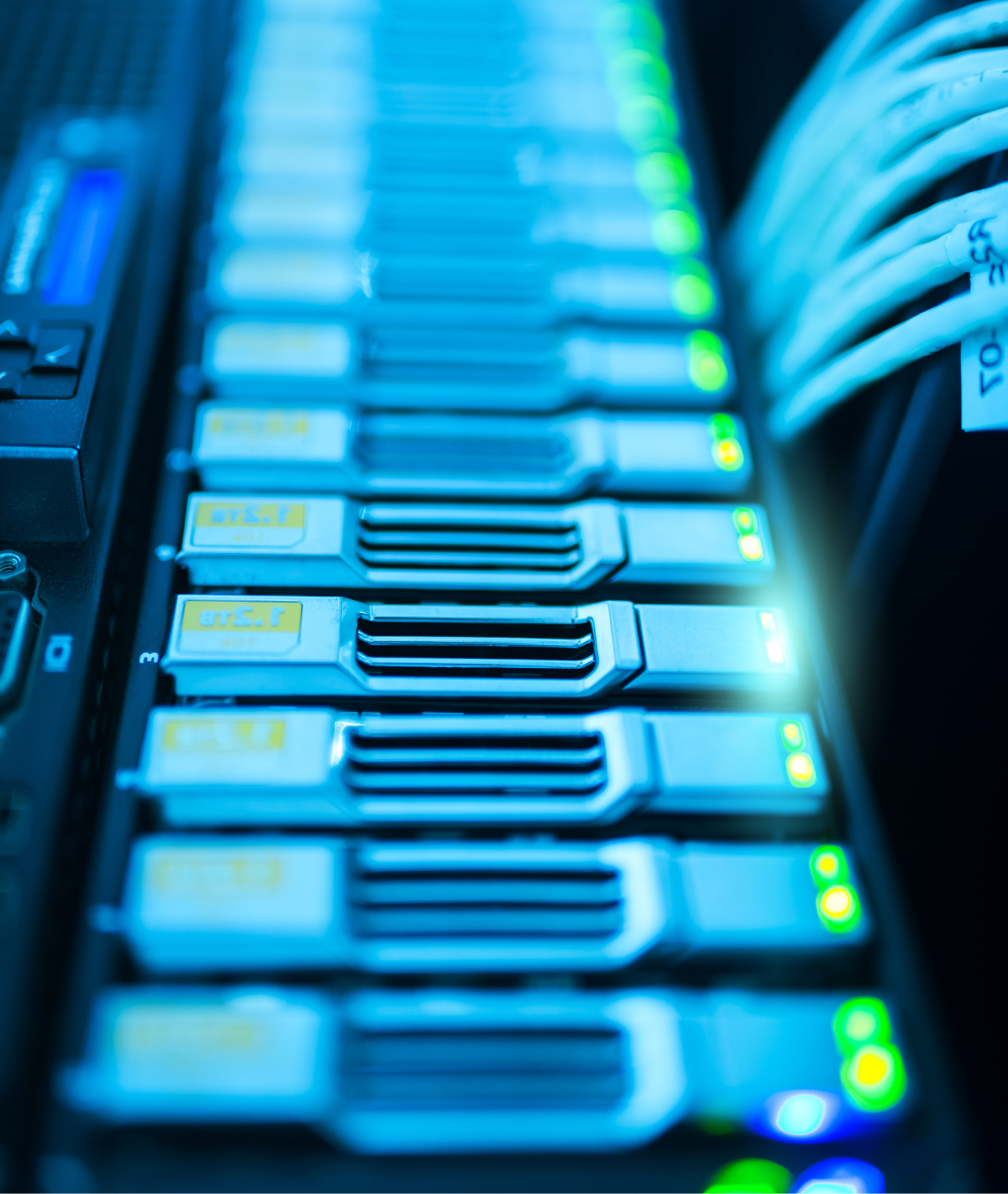 Network Design